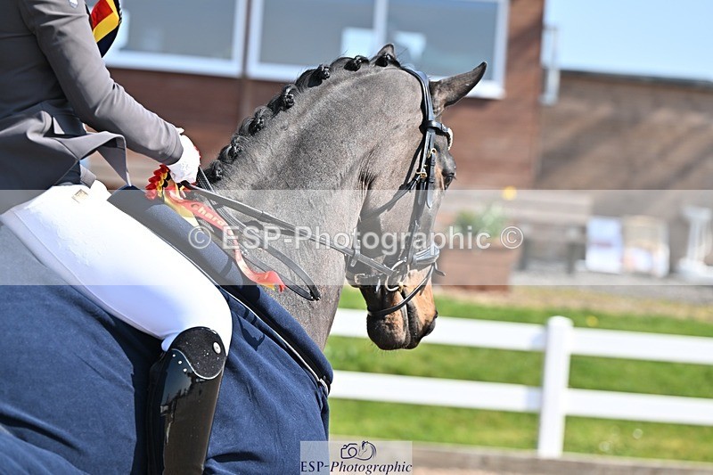 250404-142107-06584 - Cls 12 CoH Ind Presentations