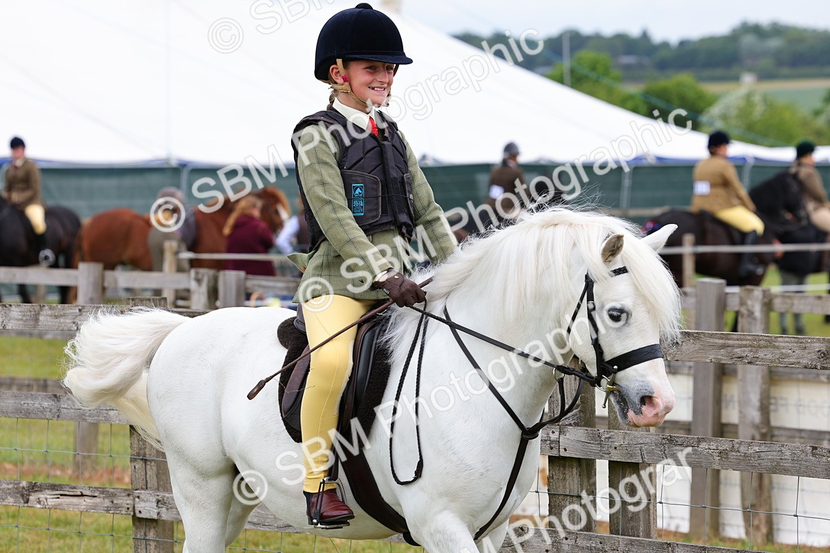 SBM_08442 - Class 42-43 - LIHS BSPS Heritage Working Sports Pony
