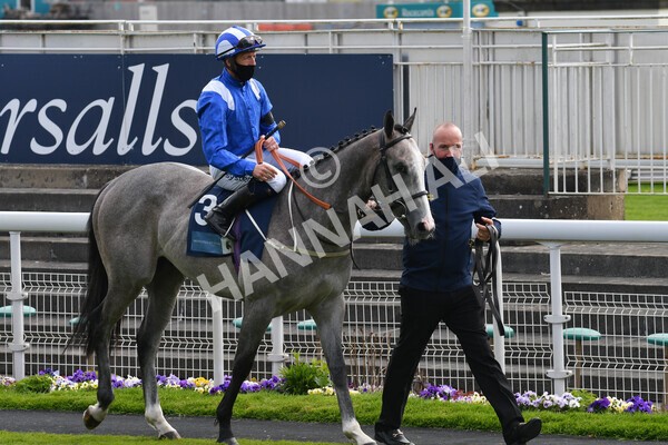 yr12052021r6-1 - Race 6 4.15pm British Stallion Studs EBF Novice Stakes