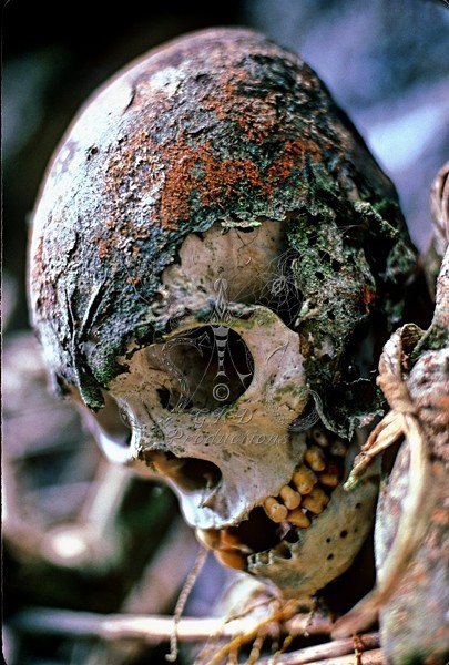 Body in Basket - Papua New Guinea - PEOPLE