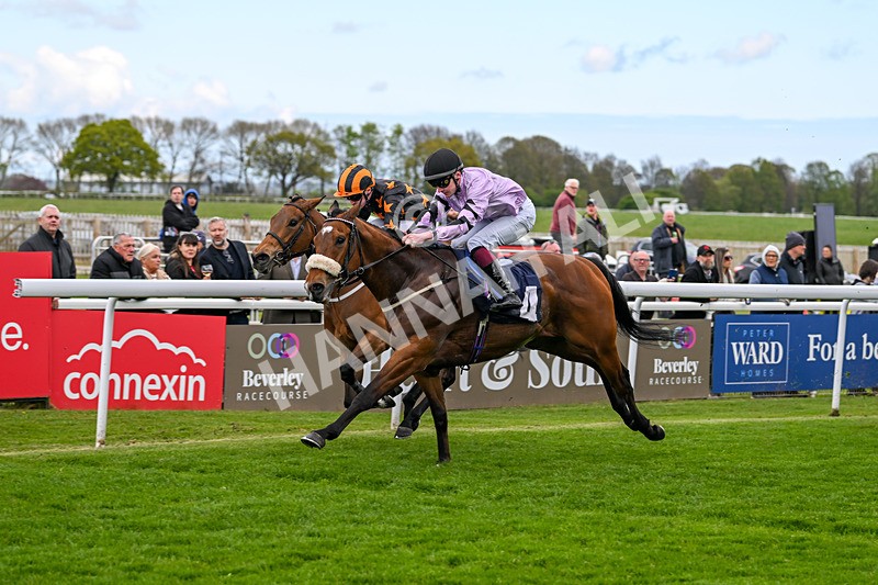 240425-Race 2-Brummell-1077 - Race 2