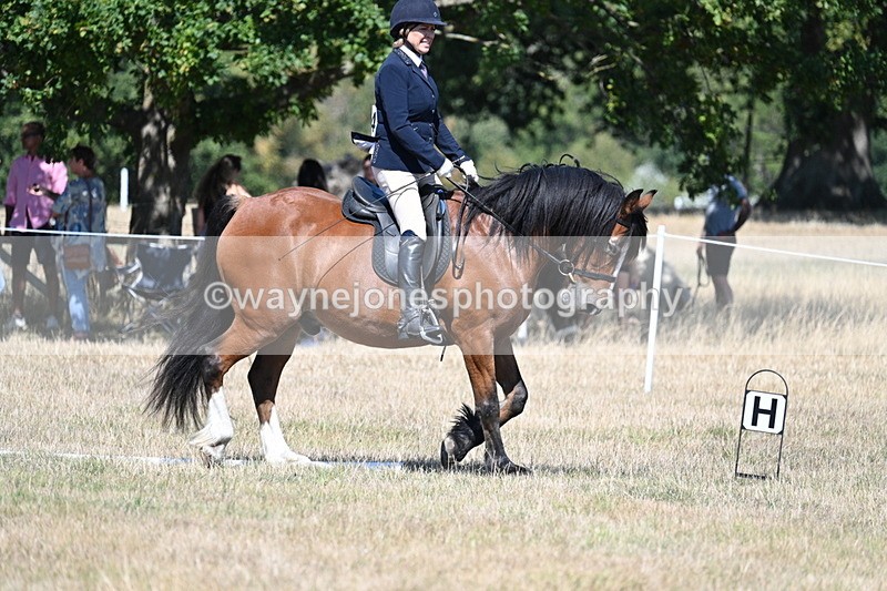 WJ7_0763 - Time 12:03 to 12:23