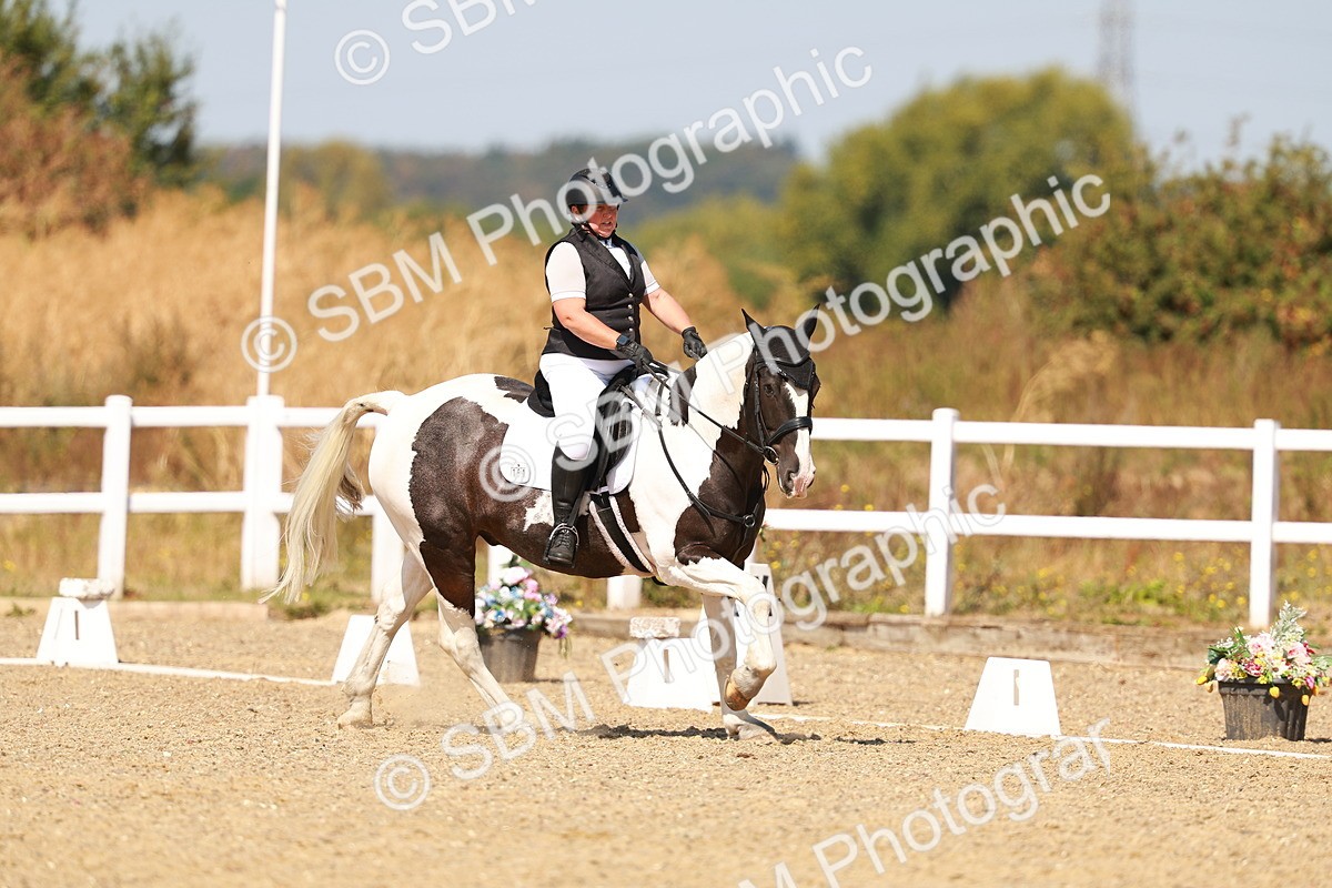 SBM_018270 - Class 9 - N5 Bronze 11.57.13.07