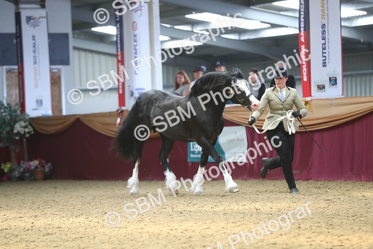 SBM_15252 - Class 501 M&M IH Supreme Final