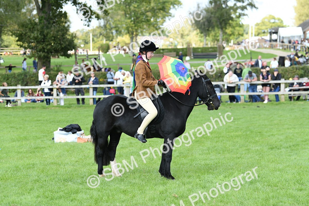 SBM_47070 - S12 - Family Horse & Pony