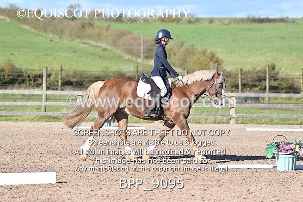 BPP_9095 - SHORT ARENA INTRO 3