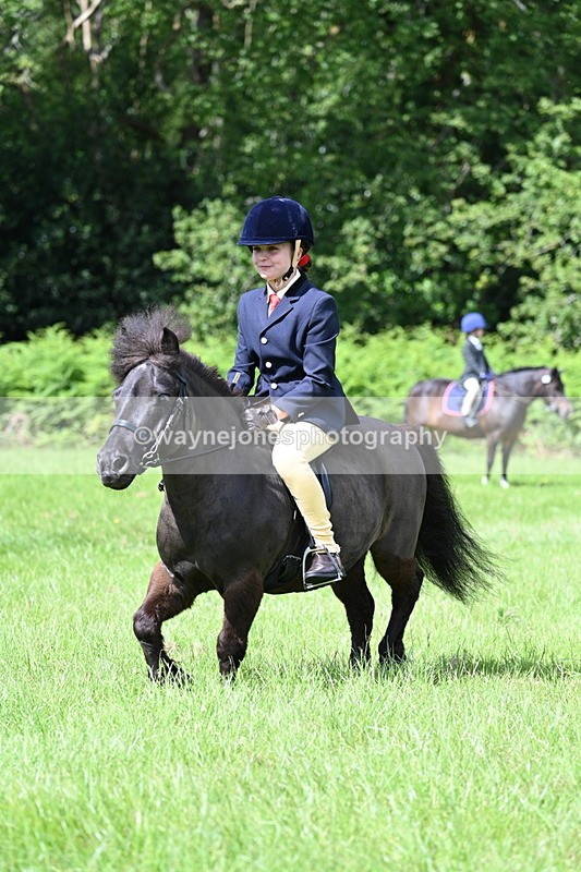 WJ7_1265 - Class 11 Condition & Turnout