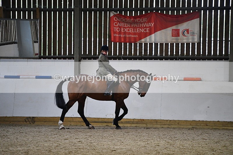 WJ5_8895 - Class 15 Ridden Show Horse