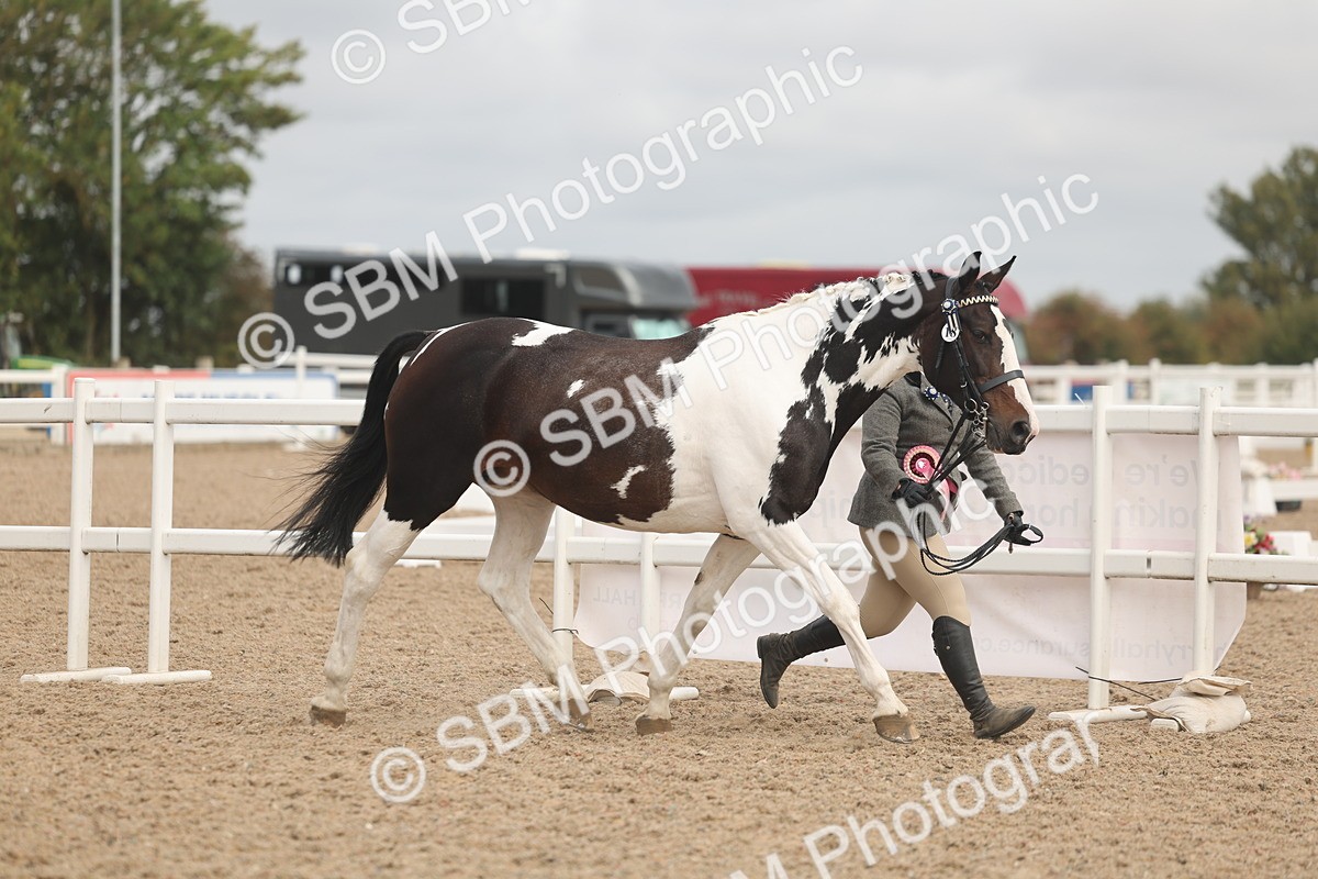 SBM_02158 - Class 15 - IH Coloured