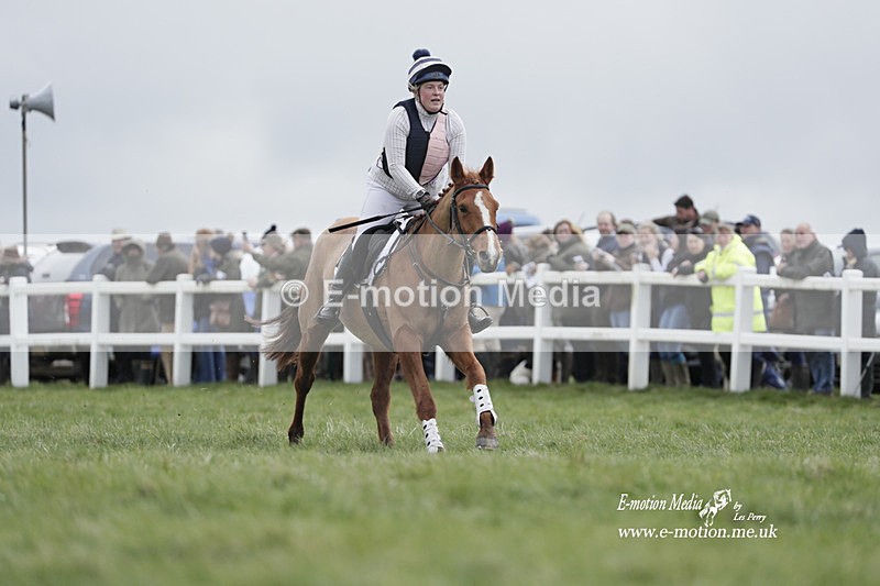 PtP 260323 0289 - New Forest Hounds Point-to-Point Larkhill 26/03/23