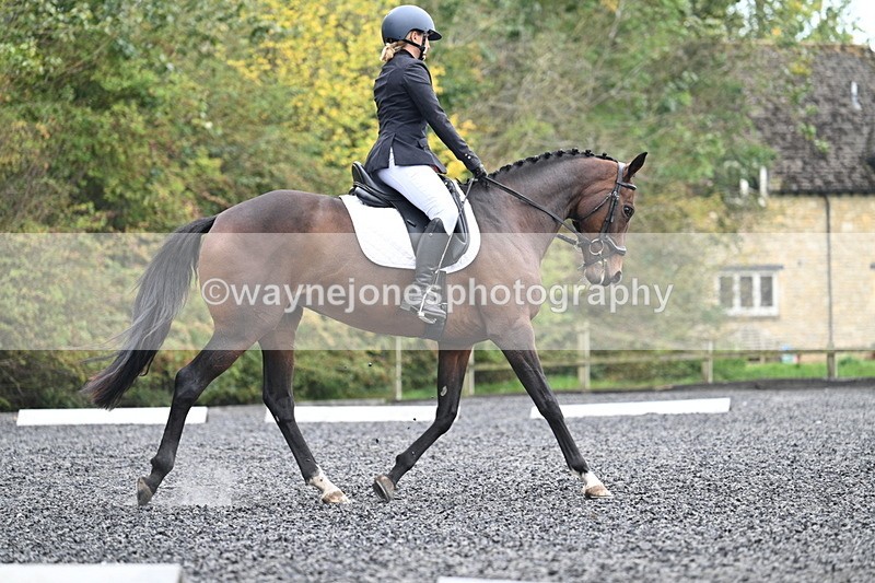 WJ7_3795 - Time 11:04 to 11:38