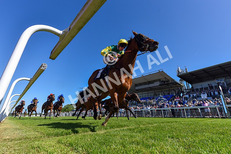 130525-Race 4-Coolree-1964 - Race 4