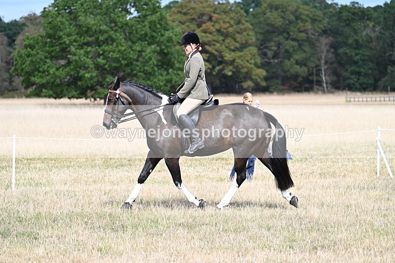 WJ7_5884 - Class 13 Ridden Veterans