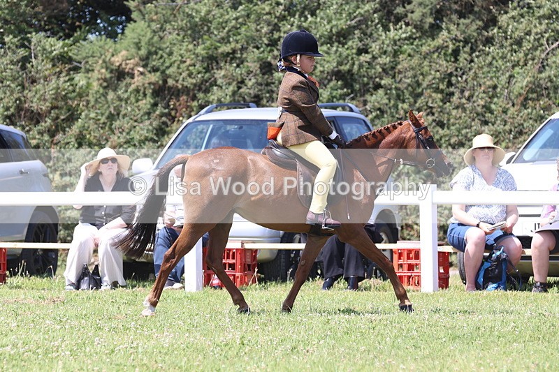 JPP_2361 - Class 20: Tiny Tots Working Hunter Pony