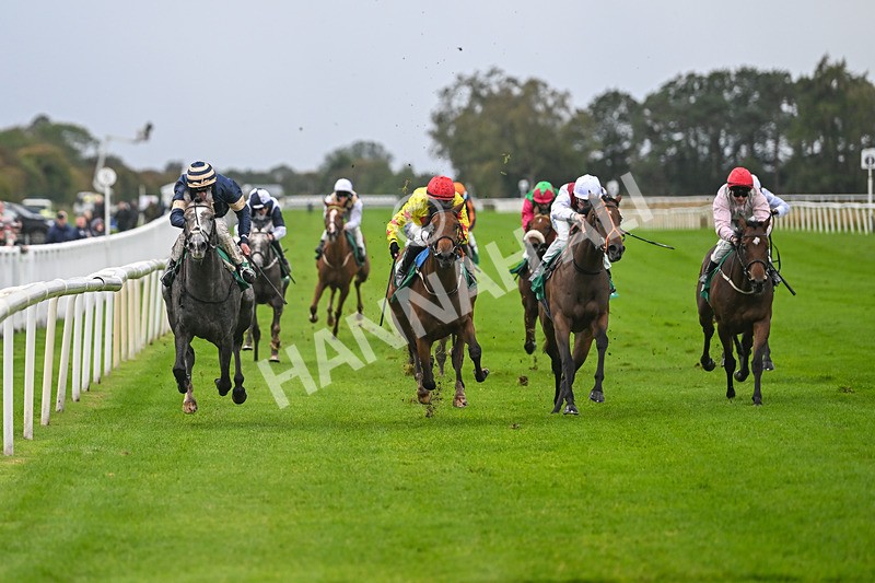 150925-Race 2-Rum Therapy-2372 - Race 2