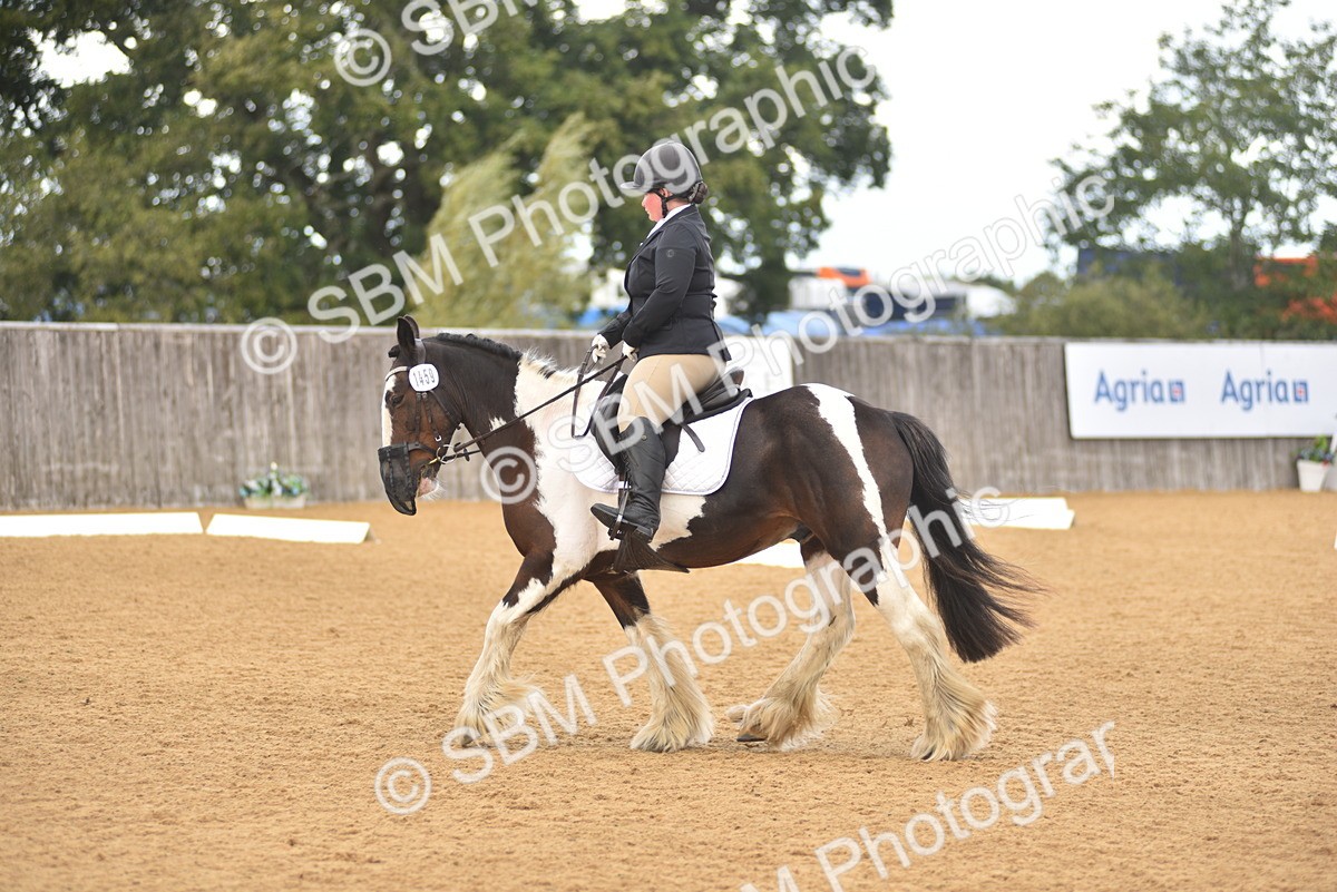SBM_22355 - D13 - Grand Tour Championship Prelim 3