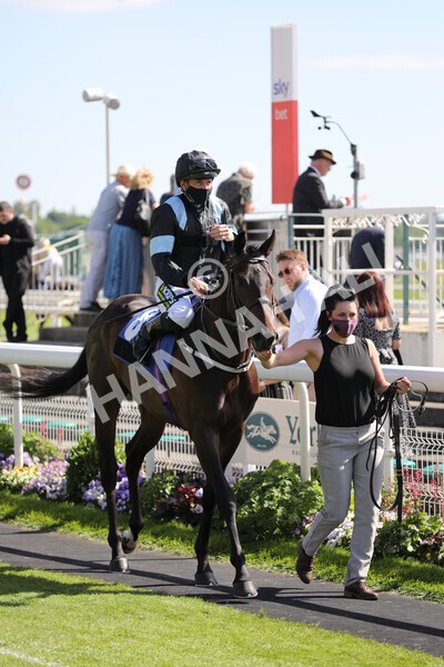 yr12062021r5-5 - Race 5 4.15pm Reg Griffin Appreciation EBFstallions.com Maiden Stakes