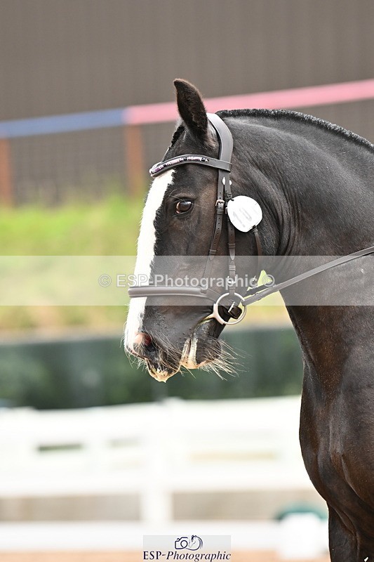 240817A-111122-07314 - 101-Chloe.Walton-La.Comtesse.Noire