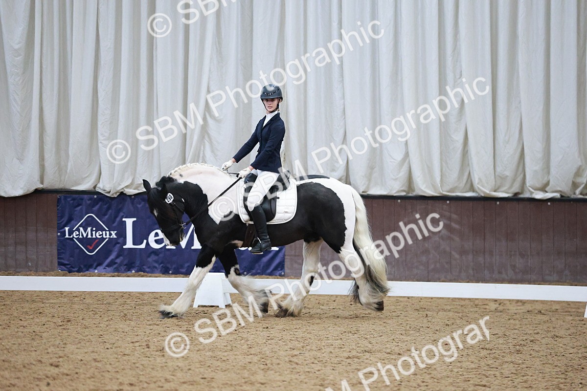 SBM_004557 - Ring 3 - International -  Working Hunter Classes 23-2-25