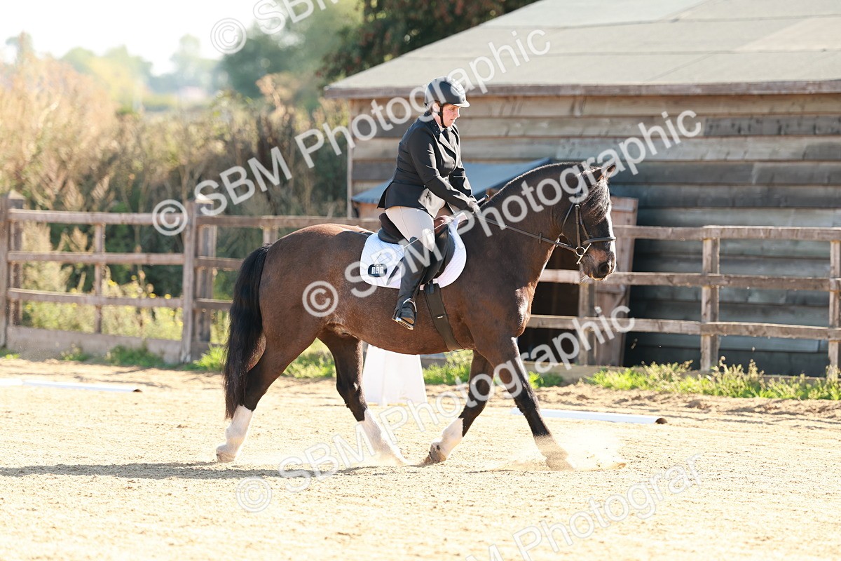 SBM_009255 - Class 2 - Intro 3