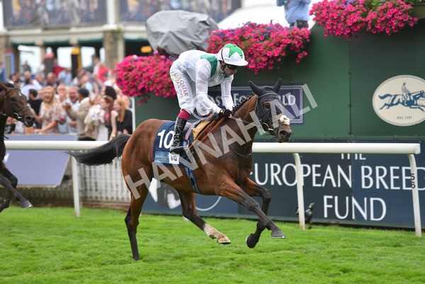 yr20082021r5-28 - Race 5 4.10pm British Stallion Studs EBF Convivial Maiden Stakes (Plus 10 Race)