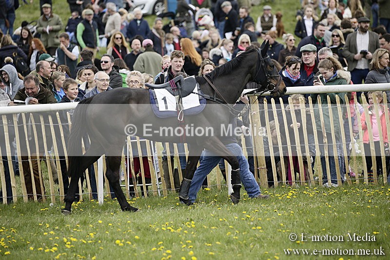 PtP 170417 54 - Old Berks Point-to-Point Lockinge 17/04/17
