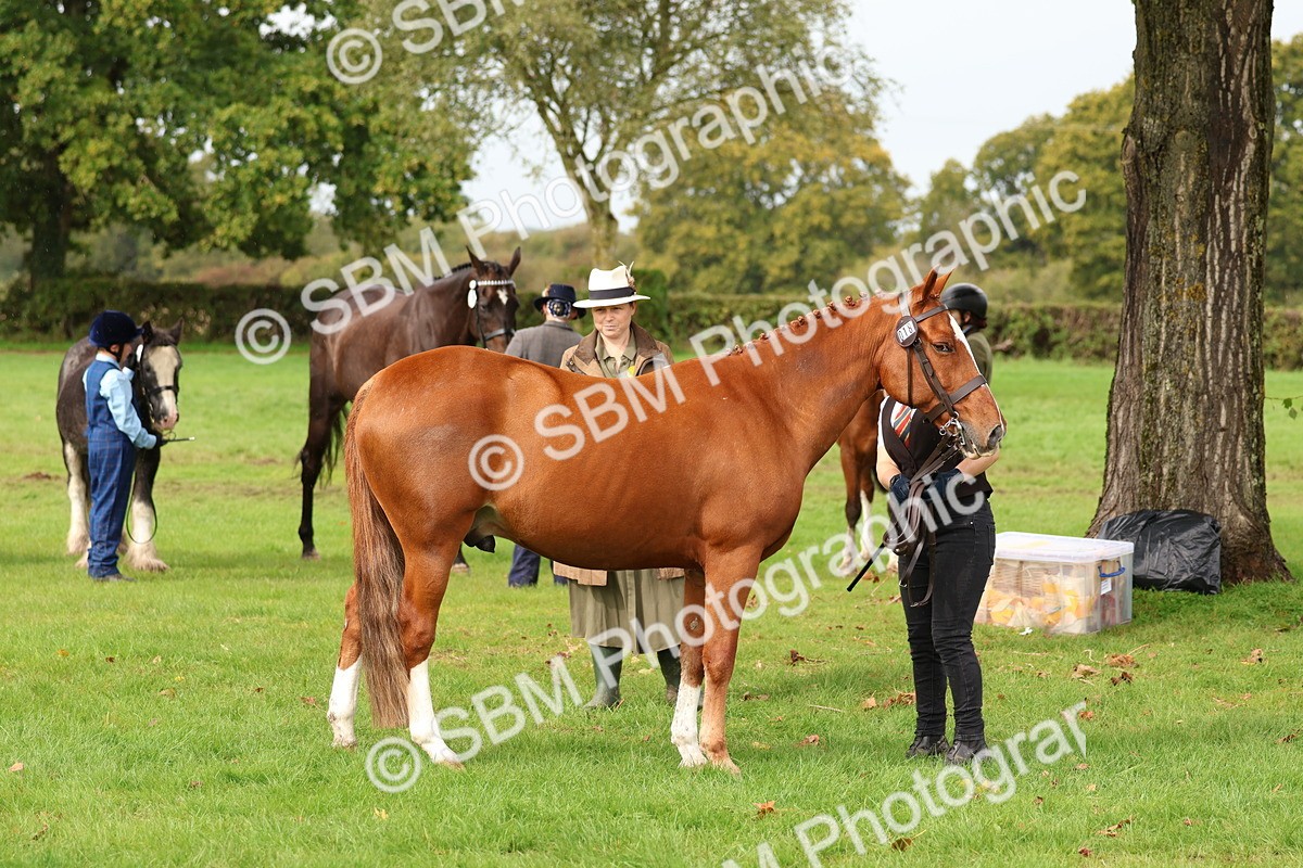 SBM_39319 - S24 - Young Veteran In Hand