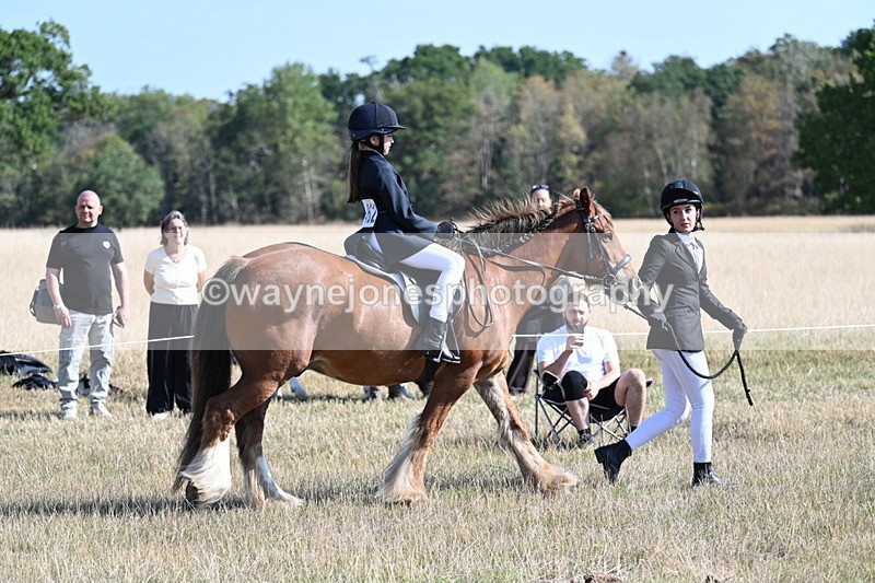 WJ7_3006 - Class 8 Ridden Tack & Turnout