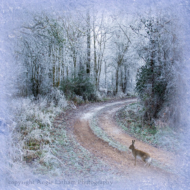  - Winter Season & Yule