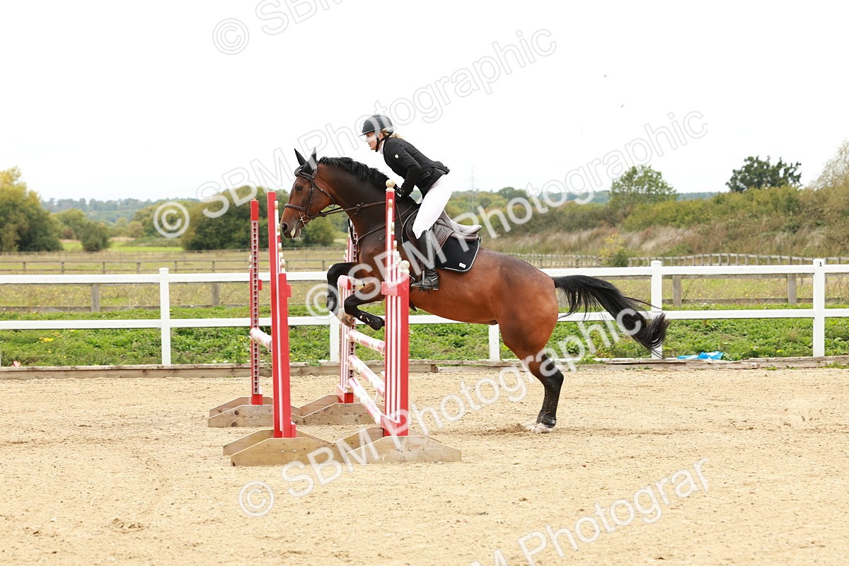 1I0A6785 - Class 2 - Senior British Novice