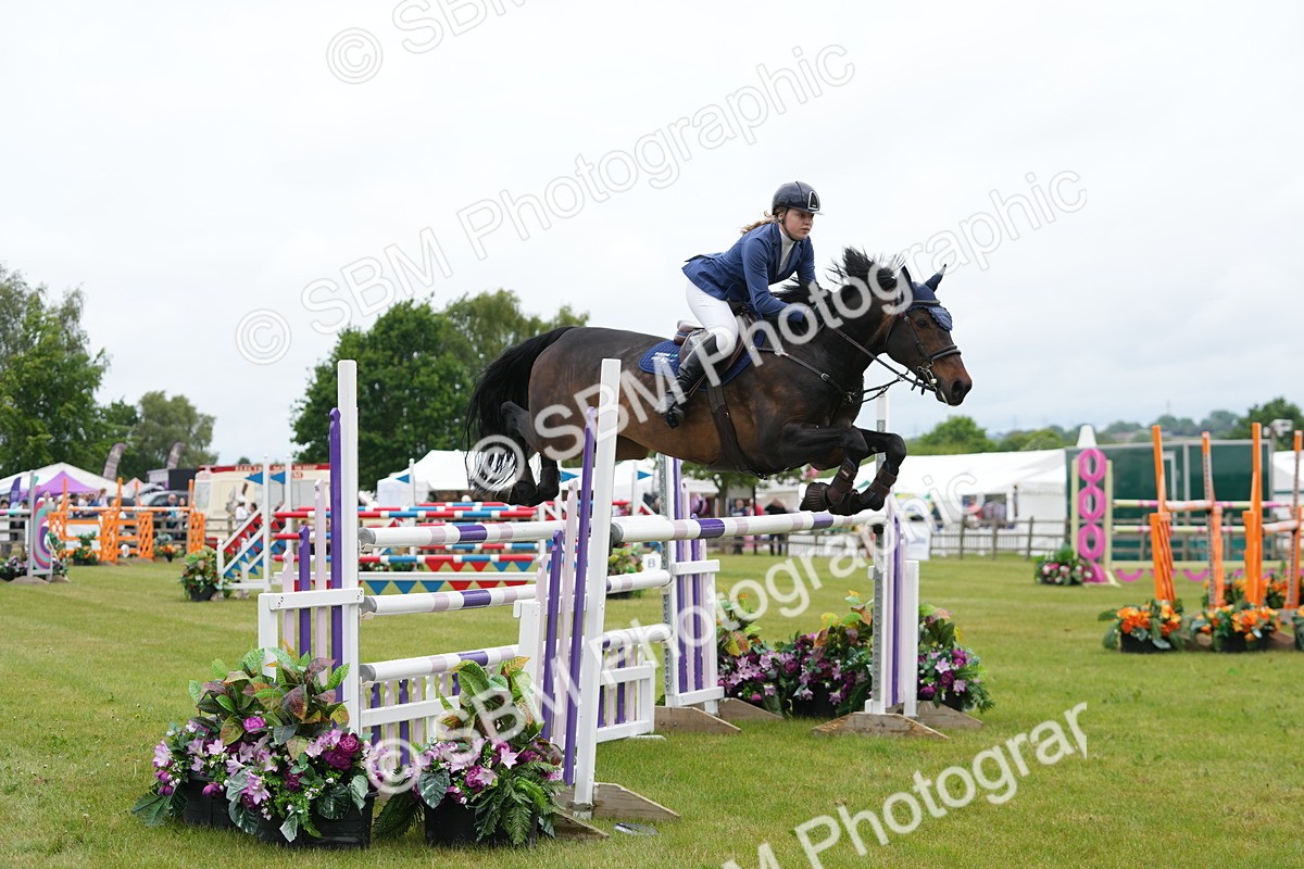SBM_03039 - Class 201 - British Horse Feeds Speedi Beet Horse of the Year Show Grade  C