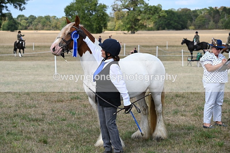 WJ6_6725 - Class 20 In-hand Cob