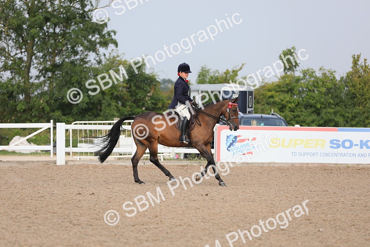 SBM_10676 - Class 303 Ridden Pure Bred Horse/Pony (excl M&M)