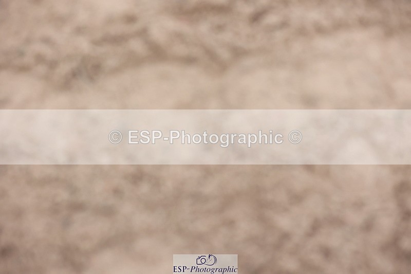 241101A-151926-02929 - FRI Cls 7 Grade B&C Champ Qualifier