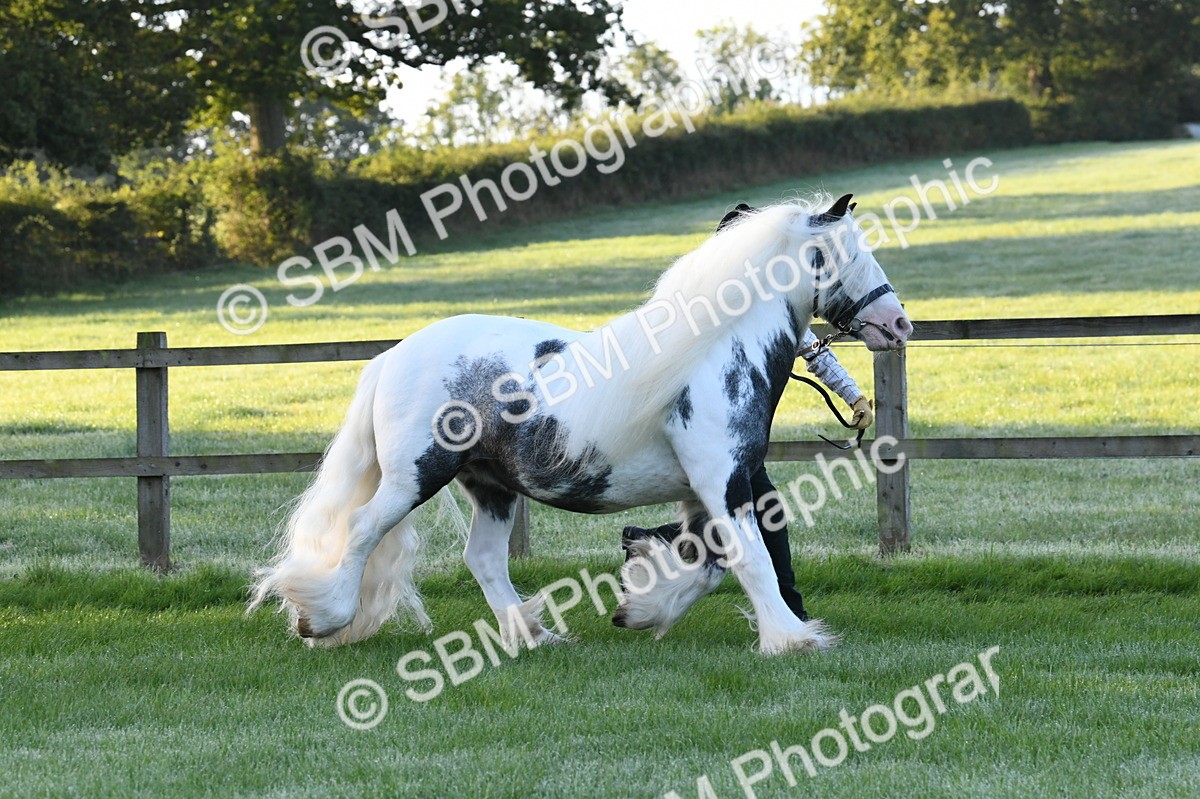 SBM_32556 - S15 - Condition & Turnout In Hand