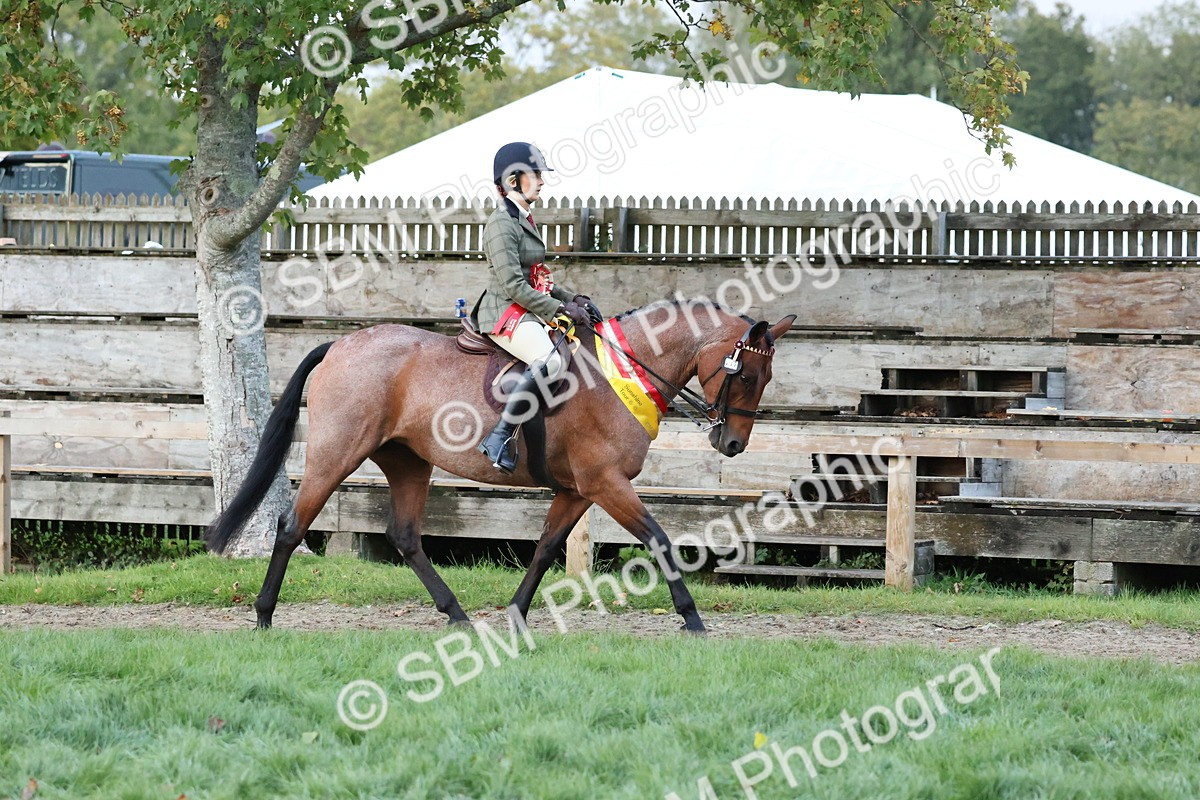 SBM_53411 - Super Supreme Championship (Sat)