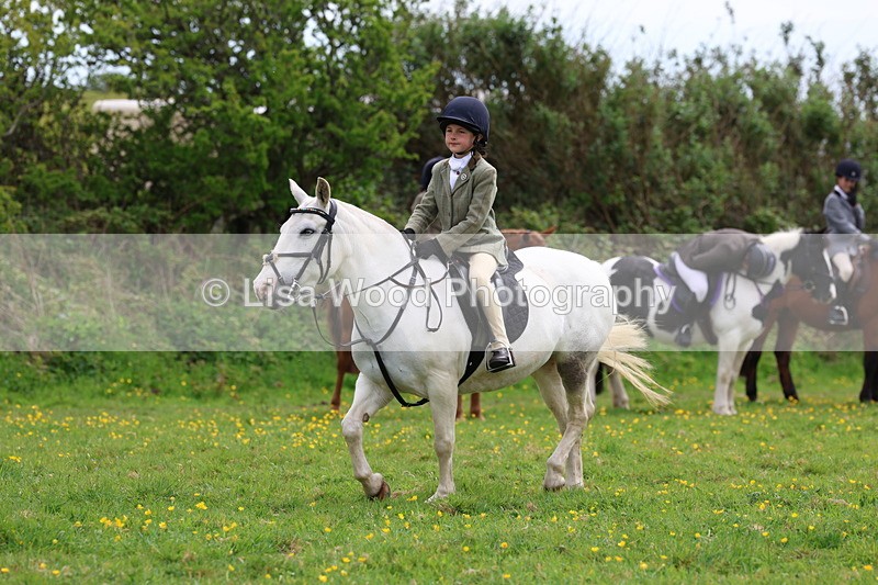 3E7A1554 - Class 8: Ridden Veteran Junoir and Senior