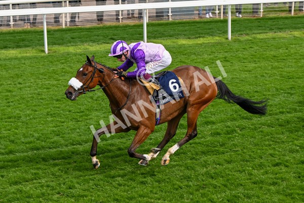 150524-Race 4-Secret Satire-4247 - Race 4 3.45pm Tattersalls Musidora Stakes