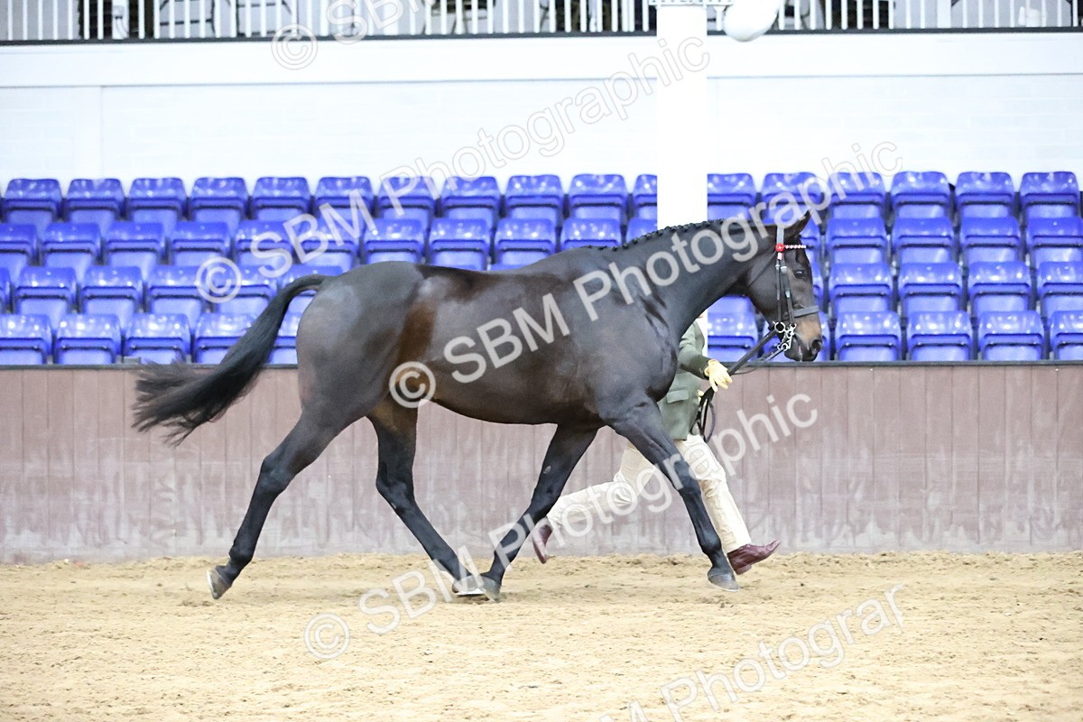 SBM_5802 - Class 4 - ROR Open In Hand