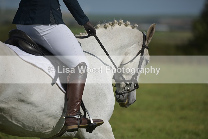 RAY_8110 - Class 2B: Trekenning Open: Dressage