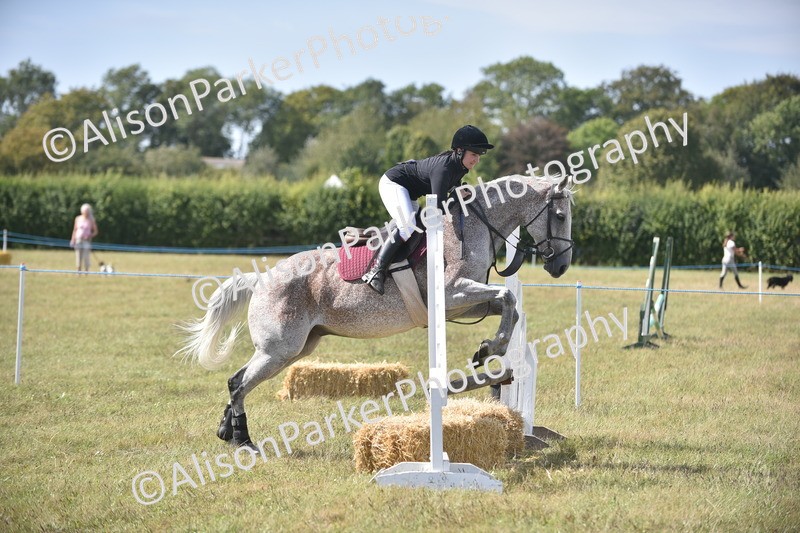 20260906-2682 - Class 13 - Working Hunter Horse or Pony