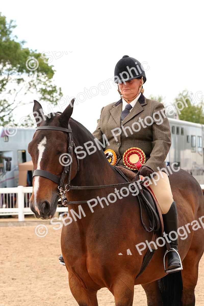 SBM_15598 - Class 214 - Ridden Show Cob