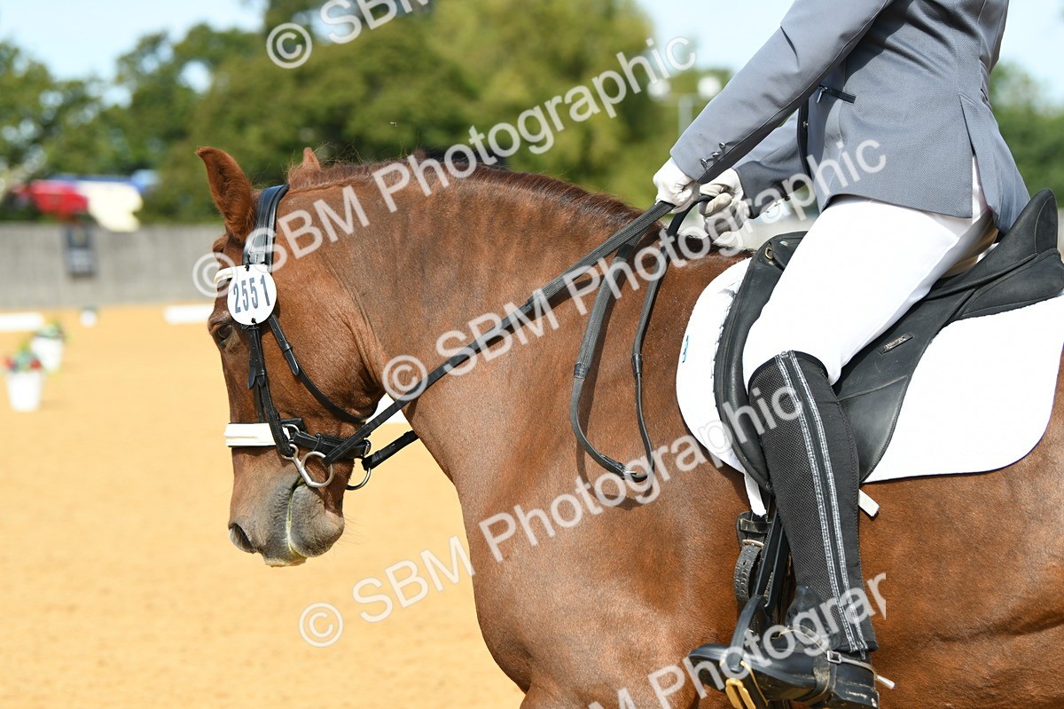 SBM_20906 - D13 - Grand Tour Championship - Prelim 12