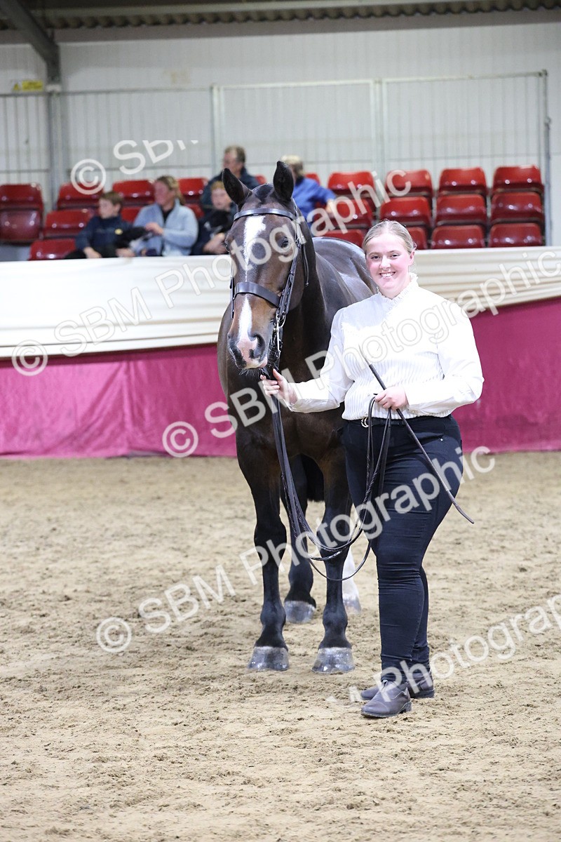 SBM_20535 - Class G - IH Large (over 148cm)Champ
