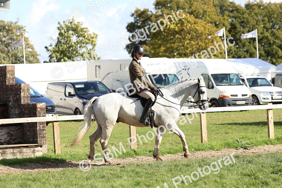 SBM_52346 - S13 - Pony Club Pony