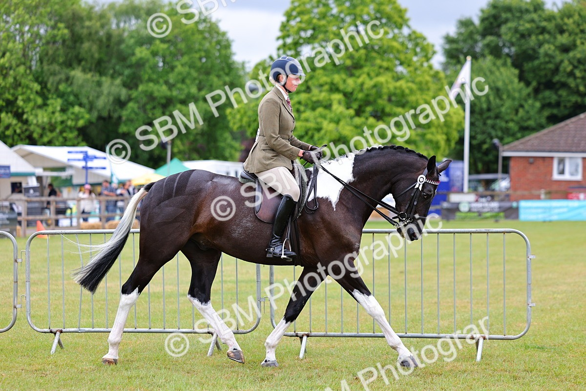 SBM_02486 - Class 9-11 Side Saddle including LIHS Rising Star Ladies Show Horse