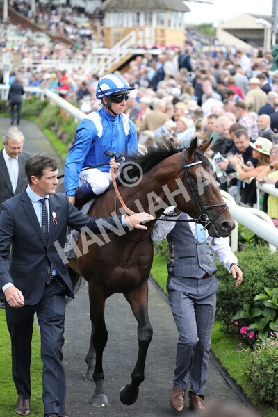 yr17082022r4-45 - Race 4 3.35pm Juddmonte International Stakes (British Champions Series Race)