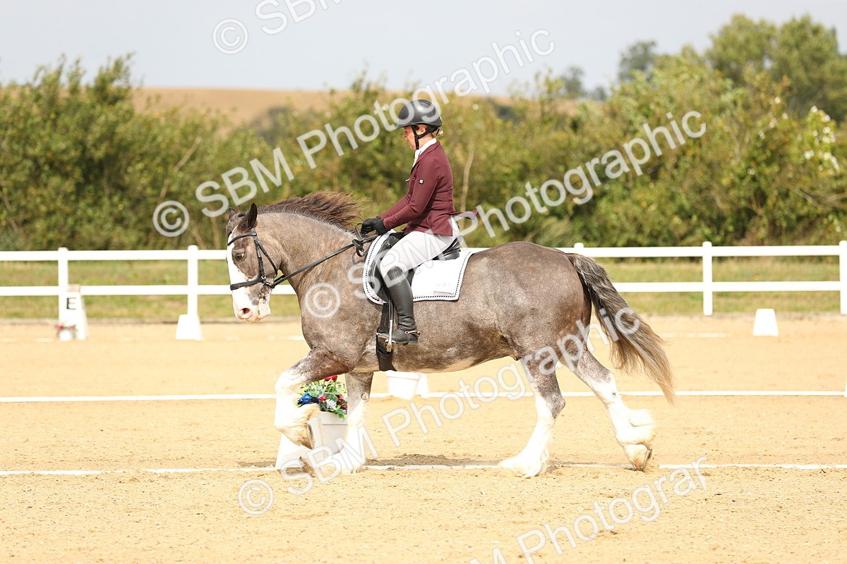 SBM_017312 - Class 13 - Novice 23 - 13.31-14.13