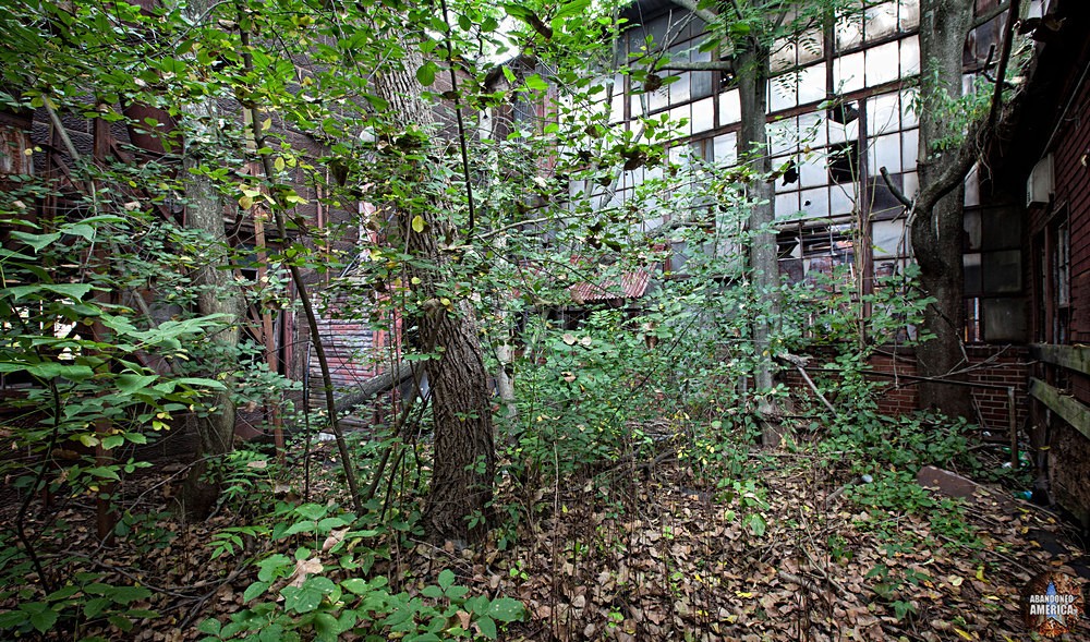 Fort Pitt Casting Co. (McKeesport, PA) | Overgrown Interior Courtyard - Fort Pitt Casting