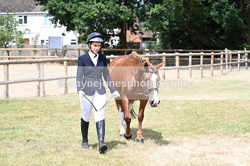 WJ7_1774 - Class 4a Prettiest Mare 14.2hh and over hand